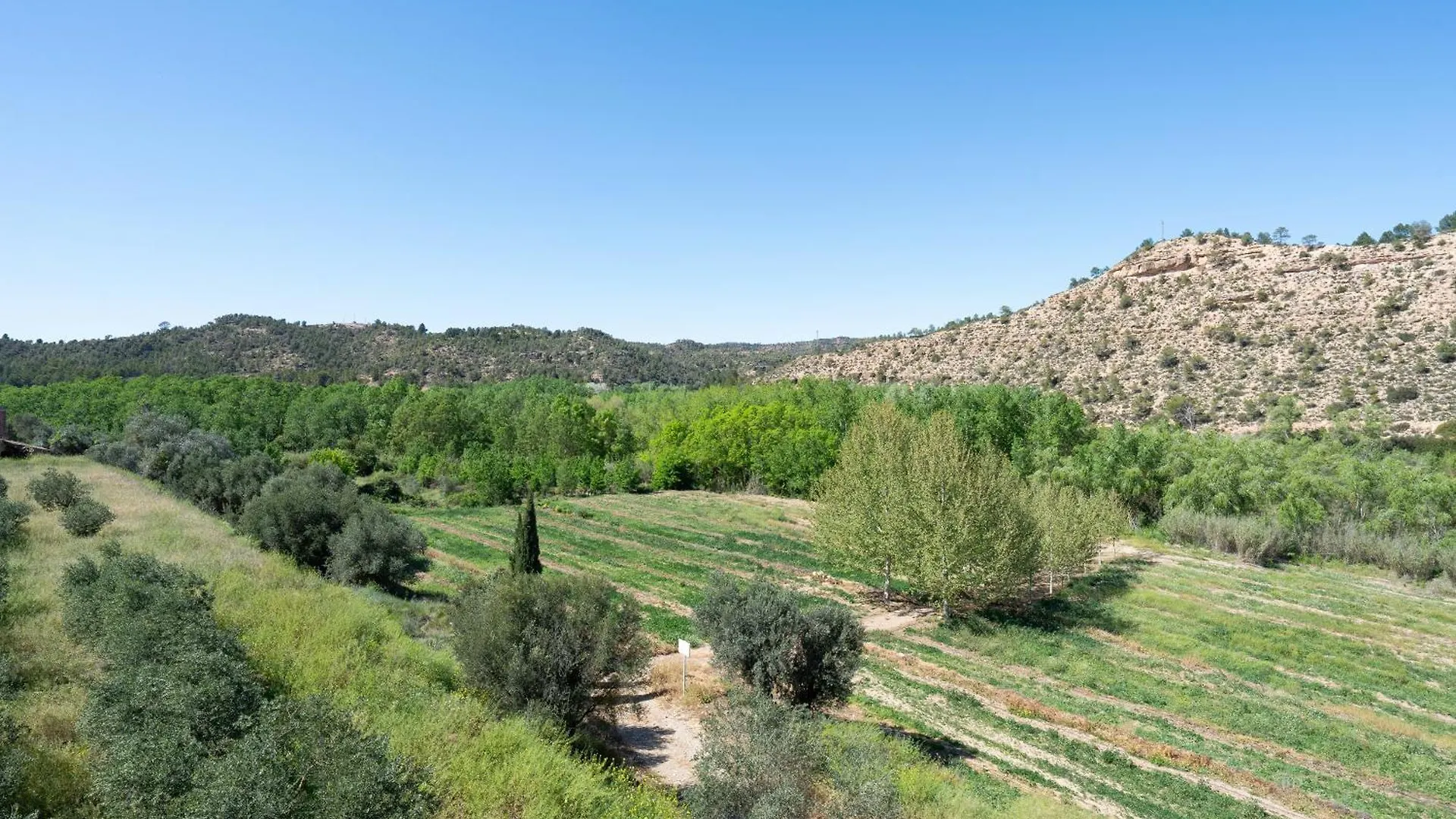 Holiday home Mas De Sisco Villa Flix Spain